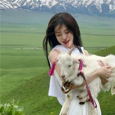 查尔斯天鹅三世的心灵