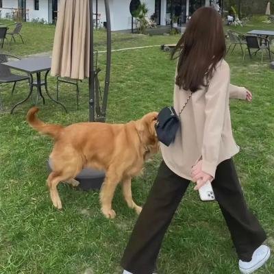 梦回追凶